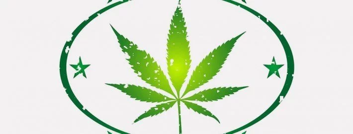 Cannabis: Langzeitfolgen mit schleichender Entwicklung