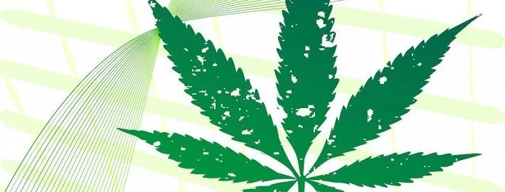 Cannabis - Risiken & Wirkung auf den Körper