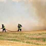 Die Bereitschaft für andere zu sterben