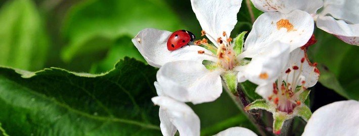 Was bedeutet Glück?