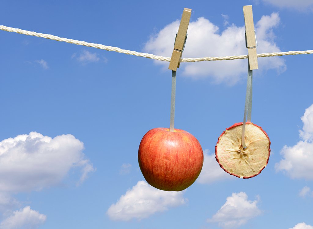 Apfel-Möhren-Chips » Tierheilkunde Apfel-Möhren-Chips » Tierheilkunde