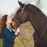 Wie die Beziehung zwischen Pferd und Mensch zerbrach