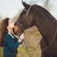 Wie die Beziehung zwischen Pferd und Mensch zerbrach