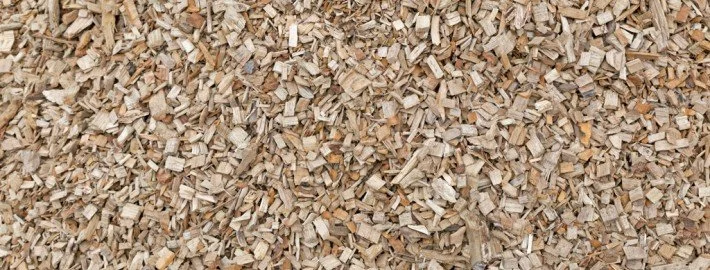 Holzstückchenmix für den Graupapagei