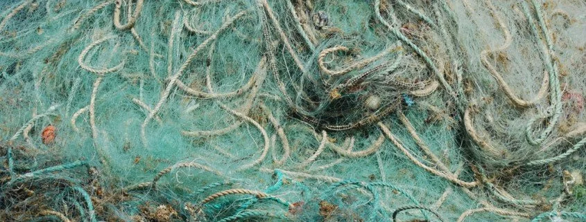 Schleppnetze-Gefahr in der Ostsee