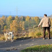 Tiersitter – worauf sollte man bei der Urlaubsbetreuung achten?