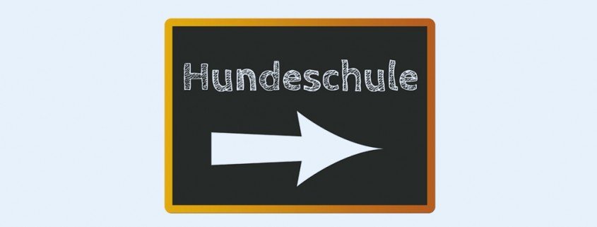 Überfordert vom Haustier - Wie kann ich mir Abhilfe verschaffen?