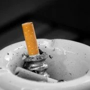 Für das Wohl des Vierbeiners zum Nichtraucher werden