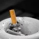 Für das Wohl des Vierbeiners zum Nichtraucher werden