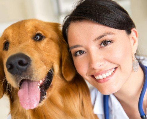 Ärzte und Veterinäre