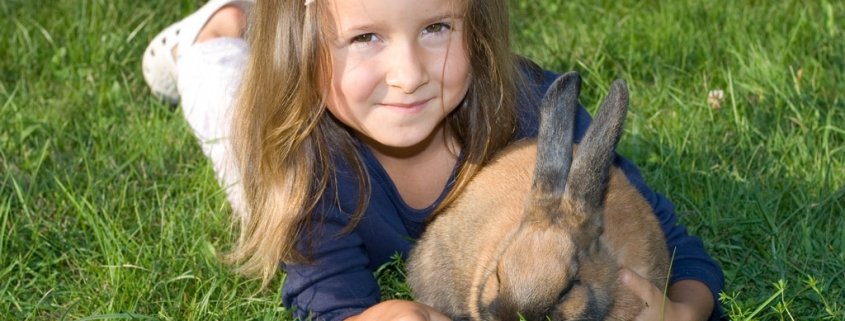 Das Kuscheltierdrama - Tierpathologe Achim Gruber berichtet