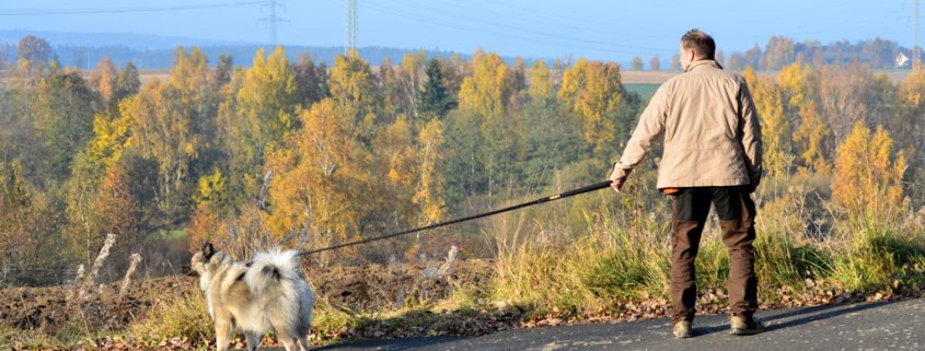 Das Pubertier lebt: Hunde in der Pubertät