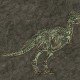 Dinosaurier, bekannte Arten und warum sie ausgestorben sind