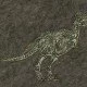Dinosaurier, bekannte Arten und warum sie ausgestorben sind