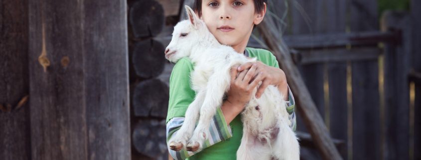 Ein Freund auf vier Beinen - Haustier als Tröster für Kinder