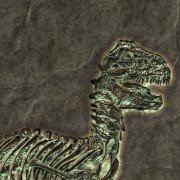 Forscher entdecken Dinosaurier mit Hahnenkamm und Federn