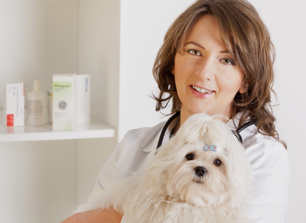 Heilpraktiker für Tiere » Tierheilpraktiker » Vistano ☎ Beratung