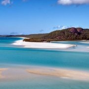 Kakapos: Pilz befällt neuseeländische Papageien Kakapos: Pilz befällt neuseeländische Papageien