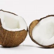 Kokosöl gegen Zecken