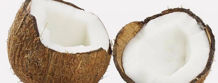 Kokosöl gegen Zecken