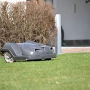 Mähroboter sind gefährlich für Igel