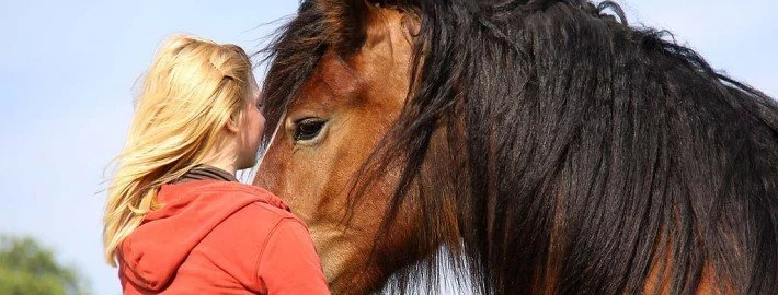 Partner Pferd - Vertrauen zwischen Reiter und Tier