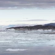 Das Rossmeer - Einer der letzten Ökosysteme