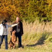 So fit halten Hunde einen wirklich So fit halten Hunde einen wirklich