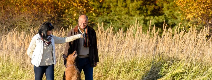 So fit halten Hunde einen wirklich