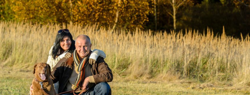 Tierische Eifersucht - Wie gewöhne ich meinen Hund an meinen neuen Lebenspartner?