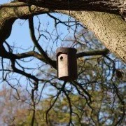 Vogelhaus – Ernährung der Wildvögel im Winter