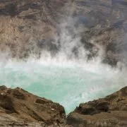 Vulkanausbruch in Galapagos gefährdet einzigartigen Galapagos-Landleguan