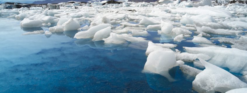 Können Wale von der Eisschmelze profitieren?