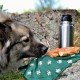 Was darf der Hund an menschlichem Essen essen und was nicht?